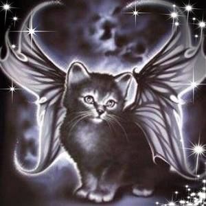 Meet your Posher, Dixie